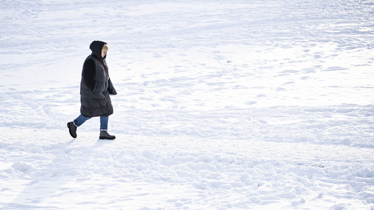 Zimy bez sněhu, časté tropy. Vědci popisují podnebí v Česku v roce 2050